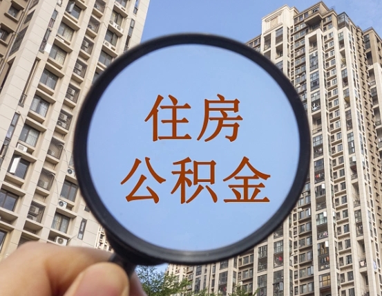 芜湖退休后查不到公积金明细了吗（退休后公积金查询不到原因）